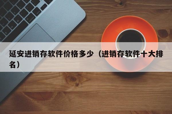 延安进销存软件价格多少（进销存软件十大排名）