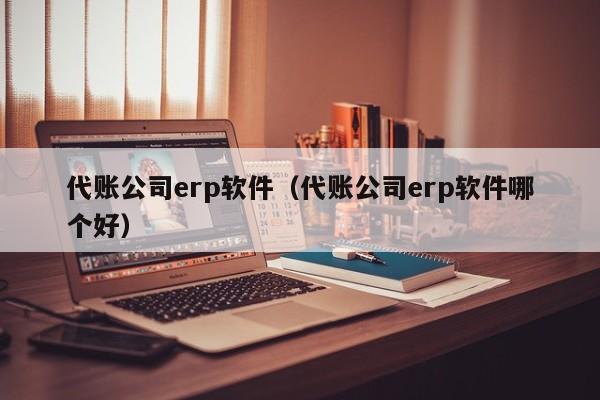 代账公司erp软件（代账公司erp软件哪个好）