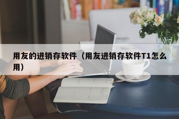 用友的进销存软件（用友进销存软件T1怎么用）