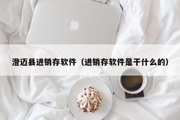 澄迈县进销存软件（进销存软件是干什么的）