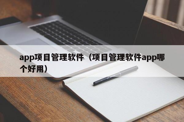 app项目管理软件（项目管理软件app哪个好用）