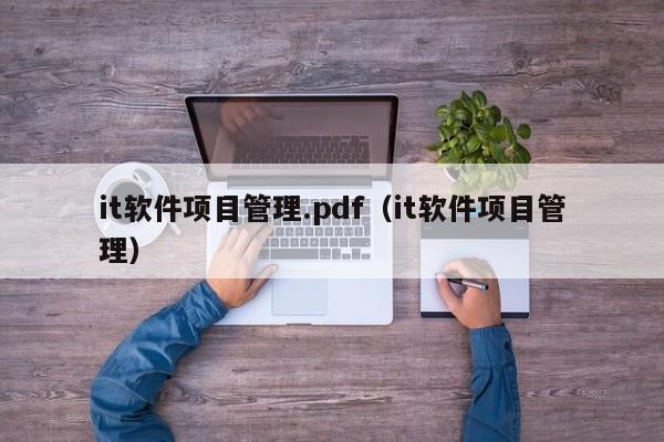 it软件项目管理.pdf（it软件项目管理）