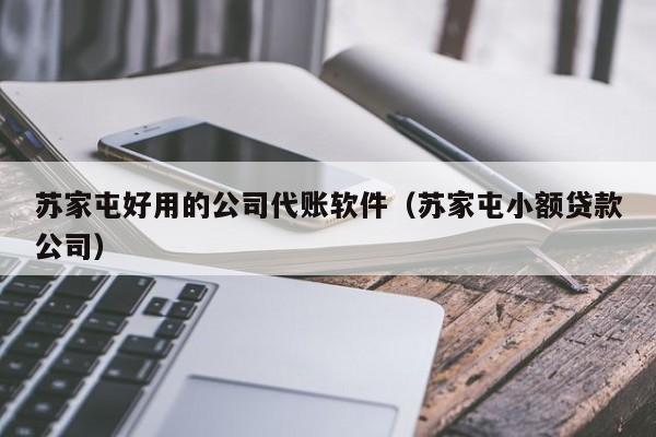 苏家屯好用的公司代账软件（苏家屯小额贷款公司）