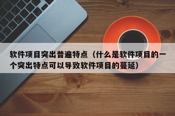 软件项目突出普遍特点（什么是软件项目的一个突出特点可以导致软件项目的蔓延）