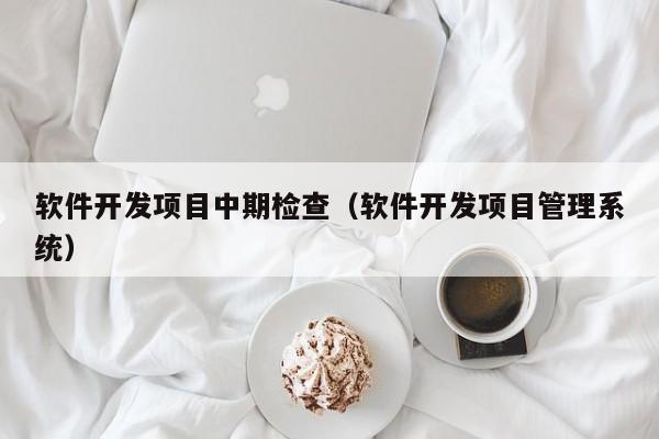 软件开发项目中期检查（软件开发项目管理系统）