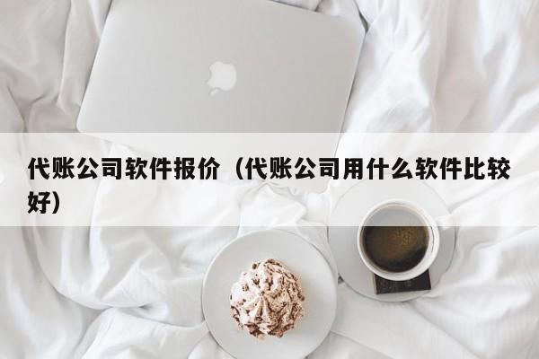 代账公司软件报价（代账公司用什么软件比较好）