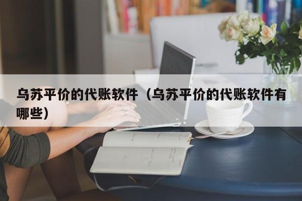 乌苏平价的代账软件（乌苏平价的代账软件有哪些）