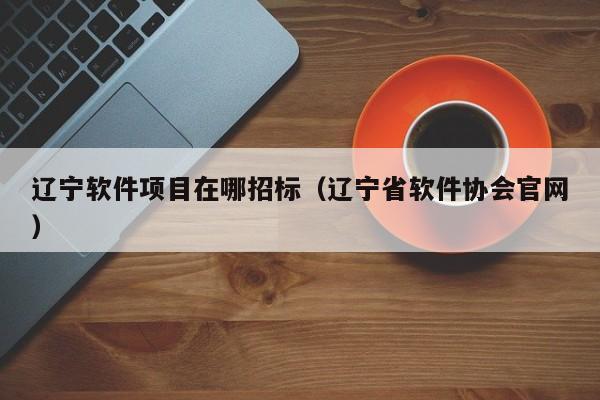 辽宁软件项目在哪招标（辽宁省软件协会官网）