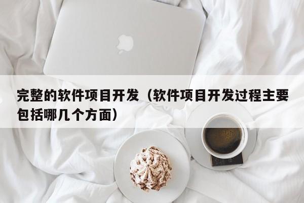 完整的软件项目开发（软件项目开发过程主要包括哪几个方面）