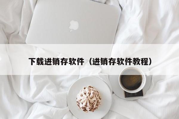 下载进销存软件（进销存软件教程）