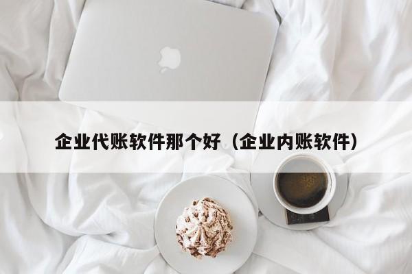 企业代账软件那个好（企业内账软件）