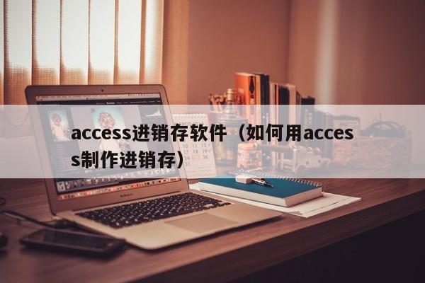 access进销存软件（如何用access制作进销存）