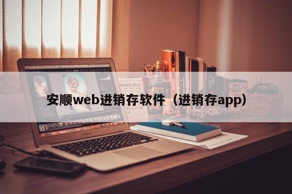 安顺web进销存软件（进销存app）