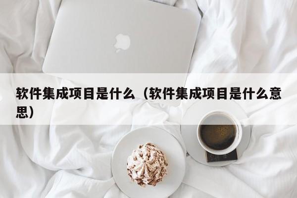 软件集成项目是什么（软件集成项目是什么意思）