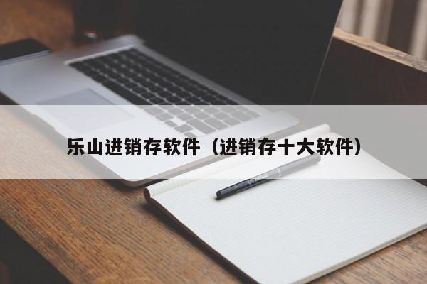 乐山进销存软件（进销存十大软件）