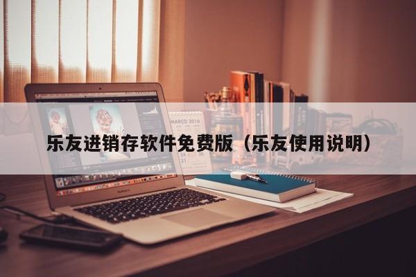 乐友进销存软件免费版（乐友使用说明）