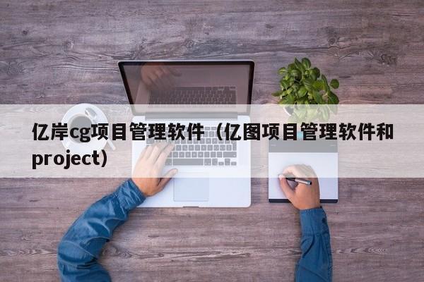 亿岸cg项目管理软件（亿图项目管理软件和project）