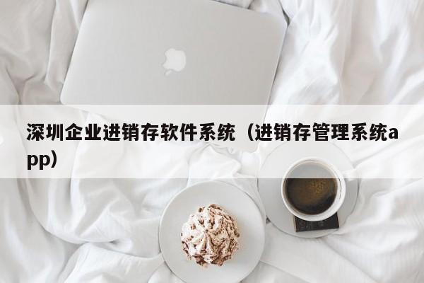 深圳企业进销存软件系统（进销存管理系统app）