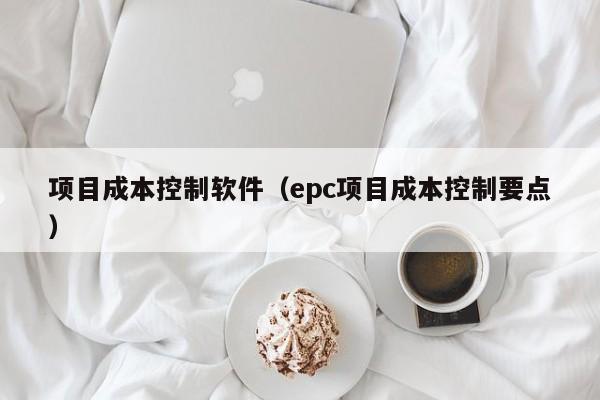 项目成本控制软件（epc项目成本控制要点）