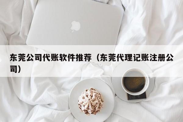 东莞公司代账软件推荐（东莞代理记账注册公司）