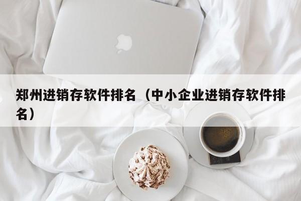 郑州进销存软件排名（中小企业进销存软件排名）