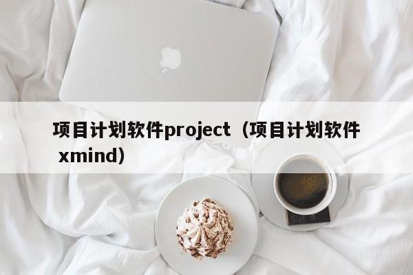 项目计划软件project（项目计划软件 xmind）