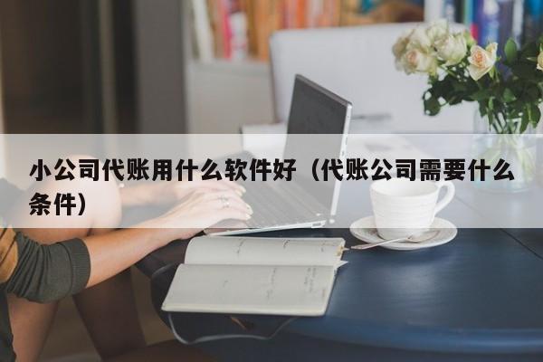 小公司代账用什么软件好（代账公司需要什么条件）