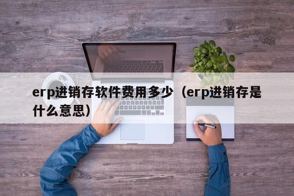 erp进销存软件费用多少（erp进销存是什么意思）