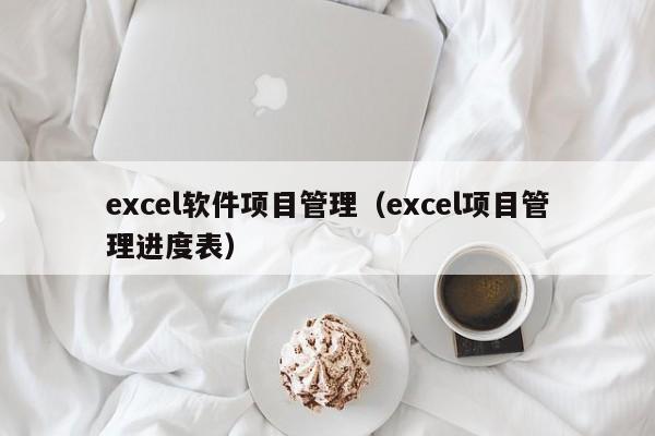 excel软件项目管理（excel项目管理进度表）