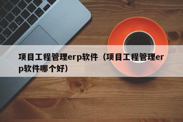 项目工程管理erp软件（项目工程管理erp软件哪个好）