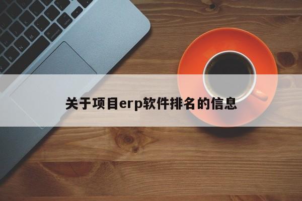 关于项目erp软件排名的信息