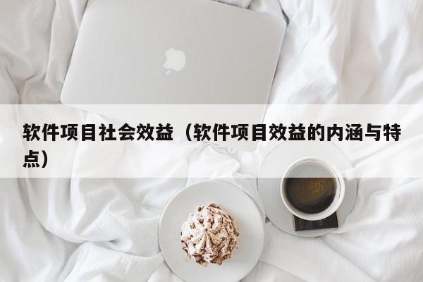 软件项目社会效益（软件项目效益的内涵与特点）