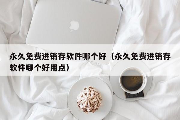 永久免费进销存软件哪个好（永久免费进销存软件哪个好用点）