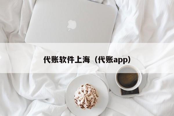 代账软件上海（代账app）