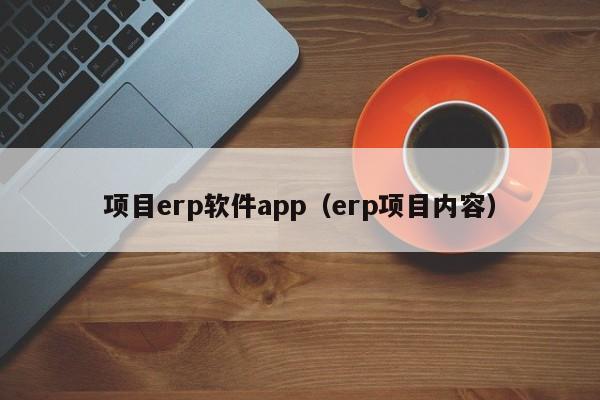 项目erp软件app（erp项目内容）