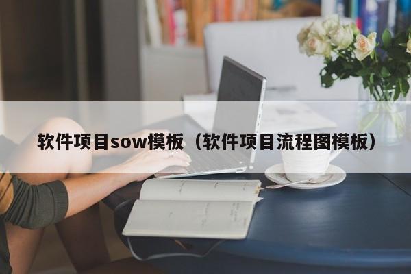 软件项目sow模板（软件项目流程图模板）