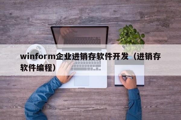 winform企业进销存软件开发（进销存软件编程）