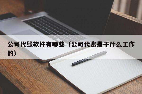 公司代账软件有哪些（公司代账是干什么工作的）