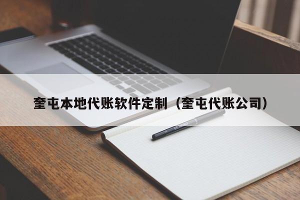 奎屯本地代账软件定制（奎屯代账公司）