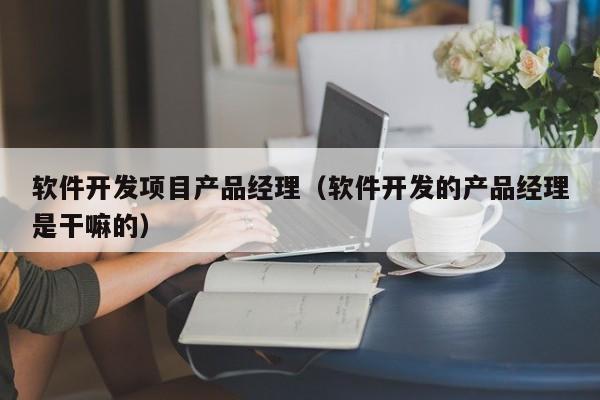 软件开发项目产品经理（软件开发的产品经理是干嘛的）