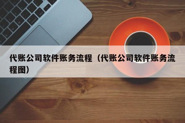 代账公司软件账务流程（代账公司软件账务流程图）