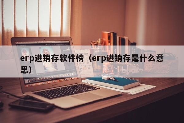 erp进销存软件榜（erp进销存是什么意思）