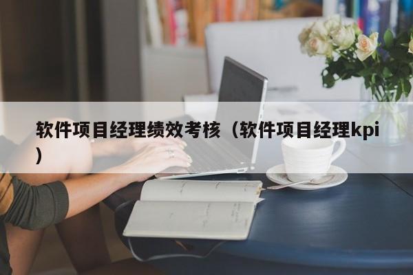 软件项目经理绩效考核（软件项目经理kpi）