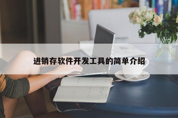 进销存软件开发工具的简单介绍