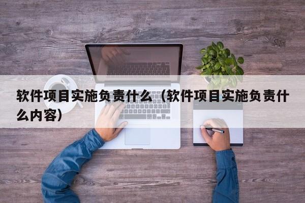 软件项目实施负责什么（软件项目实施负责什么内容）