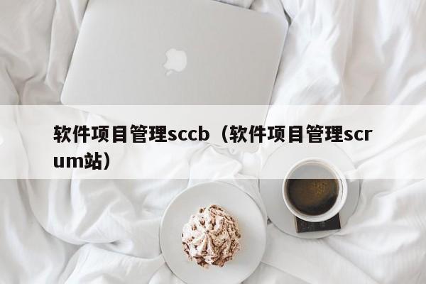 软件项目管理sccb（软件项目管理scrum站）