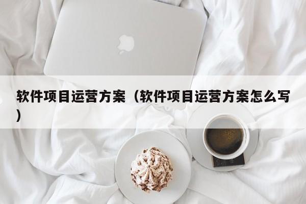 软件项目运营方案（软件项目运营方案怎么写）