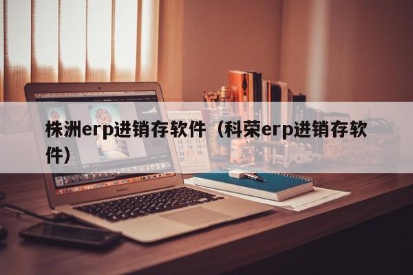 株洲erp进销存软件（科荣erp进销存软件）