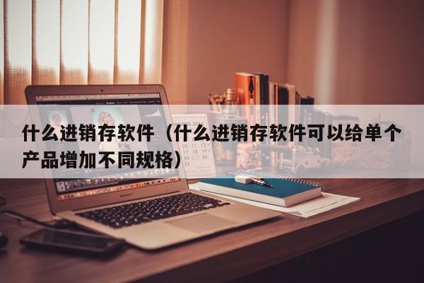 什么进销存软件（什么进销存软件可以给单个产品增加不同规格）