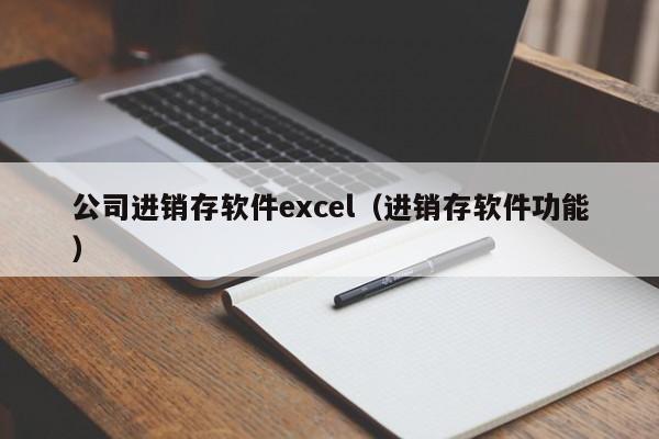 公司进销存软件excel（进销存软件功能）